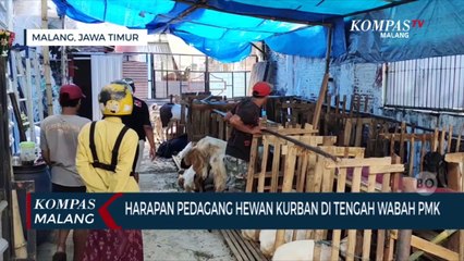 Harapan Pedagang Hewan Kurban Di Tengah Wabah PMK