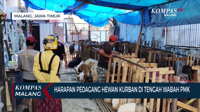Harapan Pedagang Hewan Kurban Di Tengah Wabah PMK