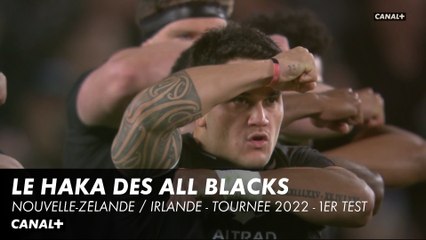 Le Haka "Ka Mate" des All Blacks face aux Irlandais - Premier Test