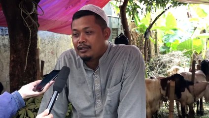 Pedagang Hewan Qurban Keluhkan Omset Turun Akibat PMK