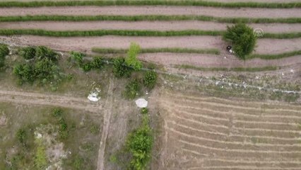 Üretim aşamasında kimsenin kendilerine inanmadığı ortaklar, kuşkonmaz ihracatına hazırlanıyor