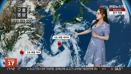 [날씨] 폭염 위기경보 경계 발령…4호 태풍 '에어리' 북상