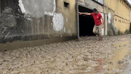 Sele teslim olan köyde tavuk çiftliğindeki 195 bin hayvan telef oldu! Çiftçi iflas bayrağını çekmek üzere
