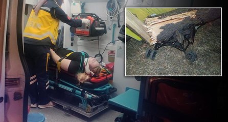 Çay bahçesinde ağaç devrildi: 2 yaralı