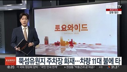 뚝섬유원지 주차장 화재…차량 11대 불에 타