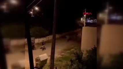 OSMANİYE'DE GEÇİCİ BARINMA MERKEZİNDEN KAÇAN 35 GÖÇMENDEN 24'Ü YAKALANDI