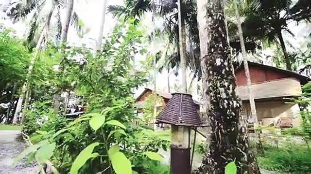 Scuba Diving in Andaman Islands