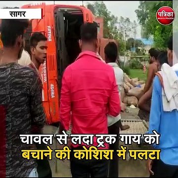 सागर : चावल से लदा ट्रक गाय को बचाने की कोशिश में पलटा