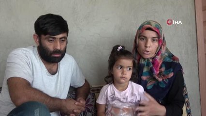 Başıboş köpeklerin saldırısı sonucu hayatını kaybeden çocuğun ailesi konuştu