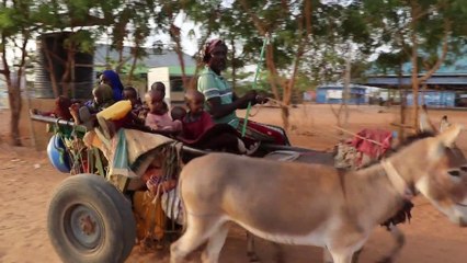 الجفاف يجبر آلاف الصوماليين على النزوح للمدن بحثًا عن الطعام