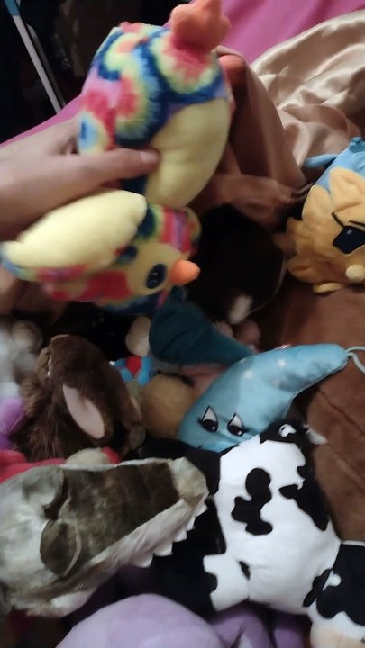 Supermensjes Go! 001 Inleiding Deel 2 Praten met de dieren