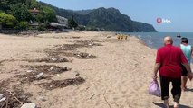Son dakika haberleri: Selin sürüklediği çöpler sahillere vurdu