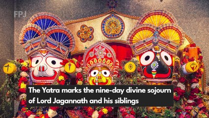 Rath Yatra 2022: From Puri To Florida, See How Devotees Celebrated The Festival