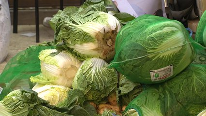 배추·당근값 2배 오른다...가뭄 등에 농산물값 '폭등' / YTN