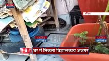 Uttarakhand News : Haridwar के एक घर में अजगर दिखने से हड़कंप | Haridwar News |