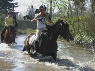 Punta d'Amour: La Plus Belle Ponette 🐴