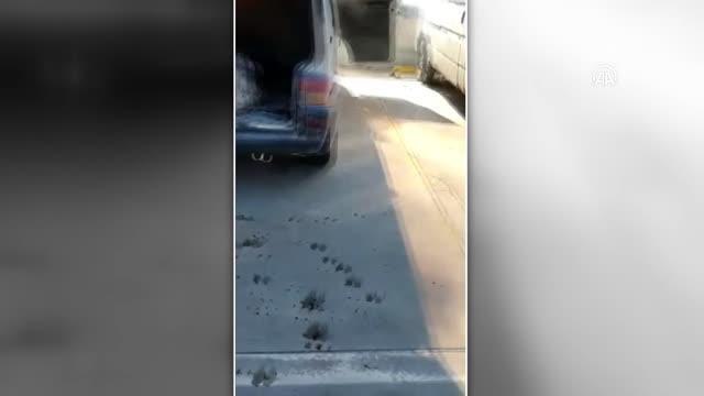 Park halindeyken yanan panelvan kullanılamaz hale geldi