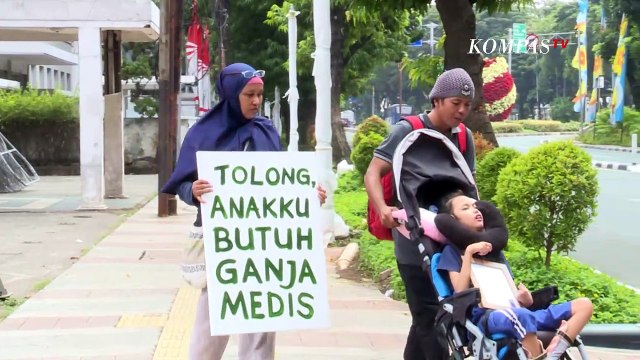 DPR Kaji Legalisasi Ganja untuk Medis, Ahli Farmasi: Untuk Tanaman Ganja Tak Bisa Dilegalkan