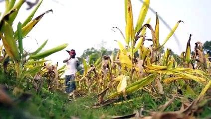 Deshi Boys Funny Videos 2021   Verry Funny Village Boys   Funny Video   Episode 92    By Haha Idea