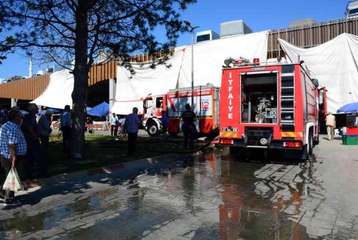 Park halindeki panelvan alevlere teslim oldu