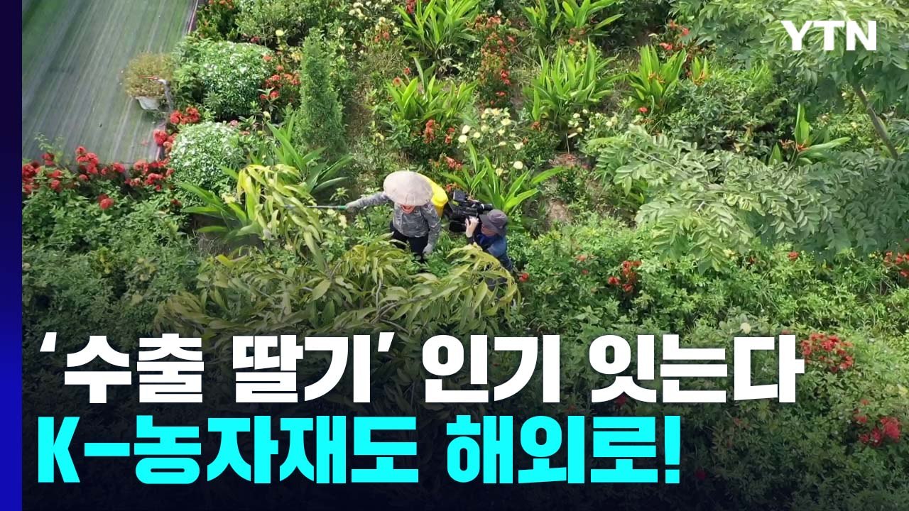 동남아 '수출 딸기' 인기 잇는다...K-농자재도 해외로! / YTN