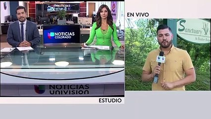 Se dispara el robo de vehículos en Aurora