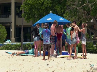 Llama PC. Bahía a no alarmarse, tras presencia de tiburones | CPS Noticias Puerto Vallarta