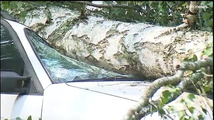 «Aus» für viele Festival-Besucher, Eis für Affen: Hitze, Dürre und Regenfluten in Europa