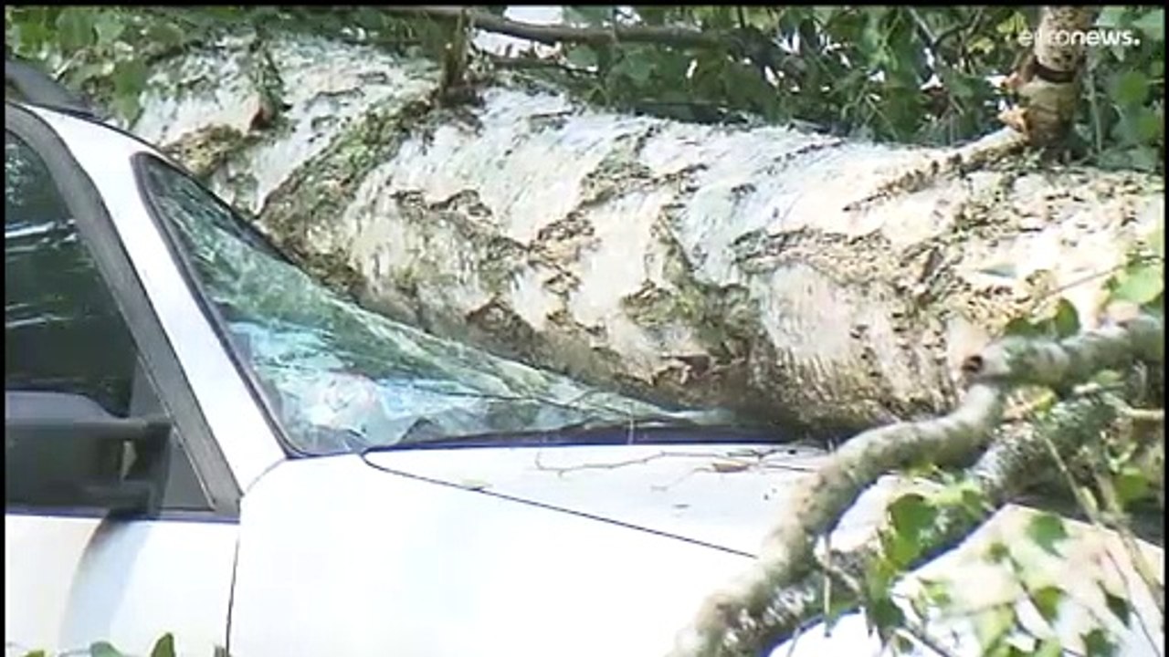 «Aus» für viele Festival-Besucher, Eis für Affen: Hitze, Dürre und Regenfluten in Europa