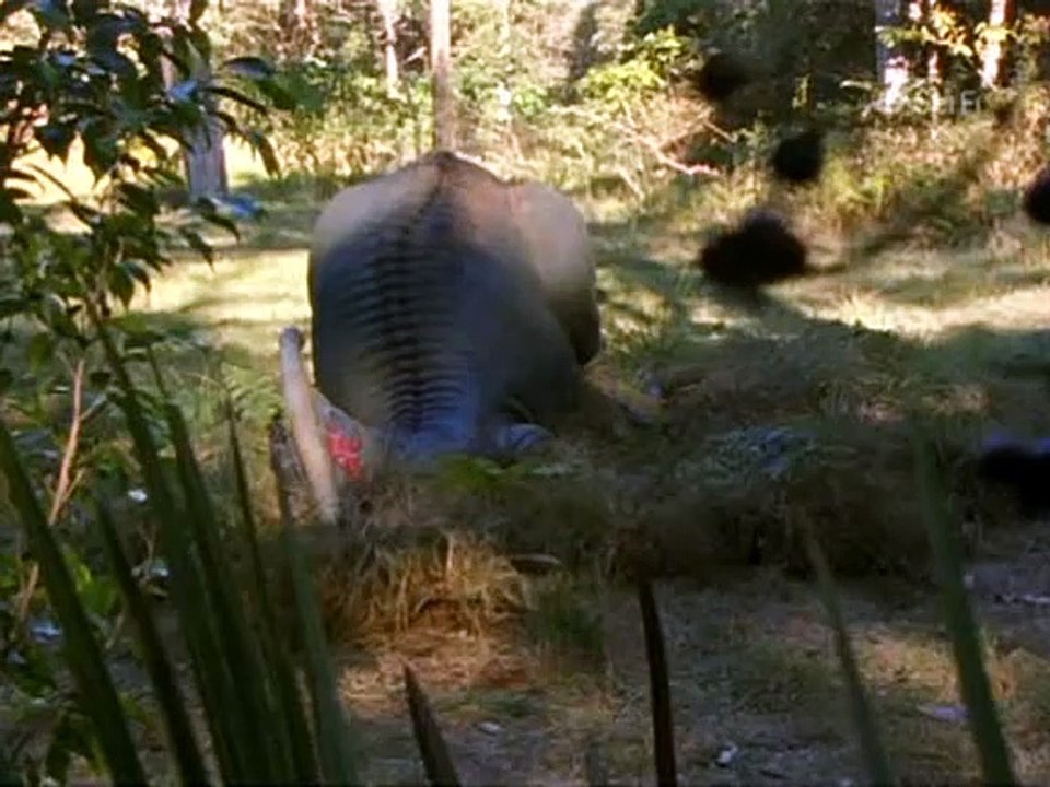 Die verlorene Welt Staffel 1 Folge 7