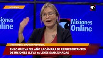 En lo que va del año la Cámara de Representantes de Misiones lleva 51 leyes sancionadas