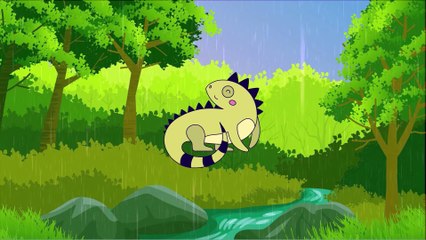 Qual o animal terrestre? Visualize as sombras e descubra