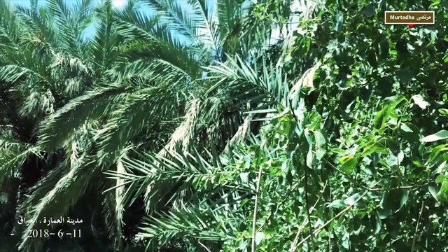 جولة في مدينة العمارة محافظة ميسان العراق- A tour of the city of Al-Amarah, Maysan Governorate, Iraq