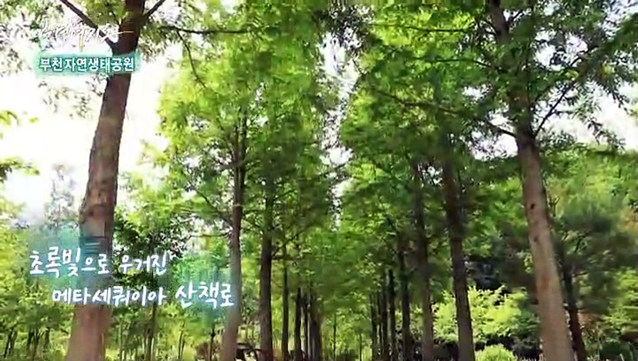 [풍경여지도] 도심에서 즐기는 문화 여행 - 경기 부천 2부