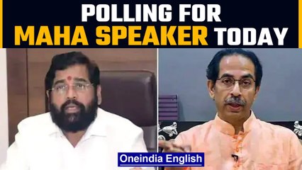 Tải video: Maharashtra speaker elections to take place on July 3rd | Thackeray vs Shinde | Oneindia News *News