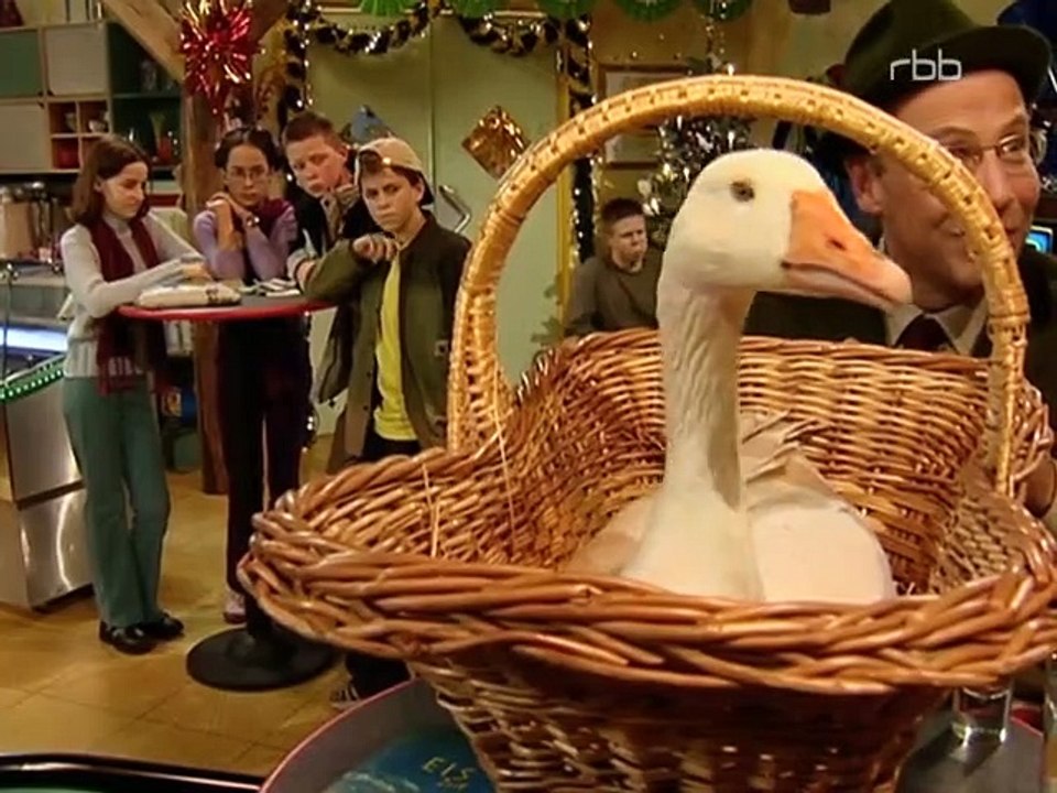 Schloss Einstein Staffel 5 Folge 1