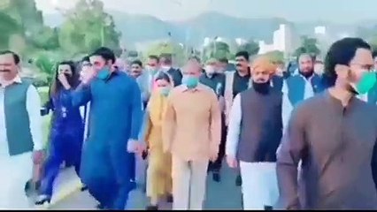 Viral Pakistani Politics Mirzapur Story