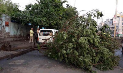Ahmedabad: પહેલા વરસાદે જ ખોલી પ્રિ-મોન્સૂન કામગીરીની પોલ, 300થી વધુ વૃક્ષો ધરાશાયી