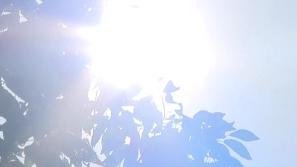 [날씨] 폭우·폭염 반복 '이상한' 장마...태풍은 비껴갈 듯 / YTN