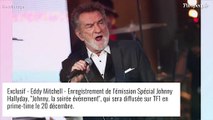 Eddy Mitchell : Qui est le célèbre parrain de sa fille Pamela Moine ?