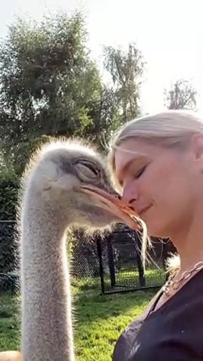 Pet lovers.
