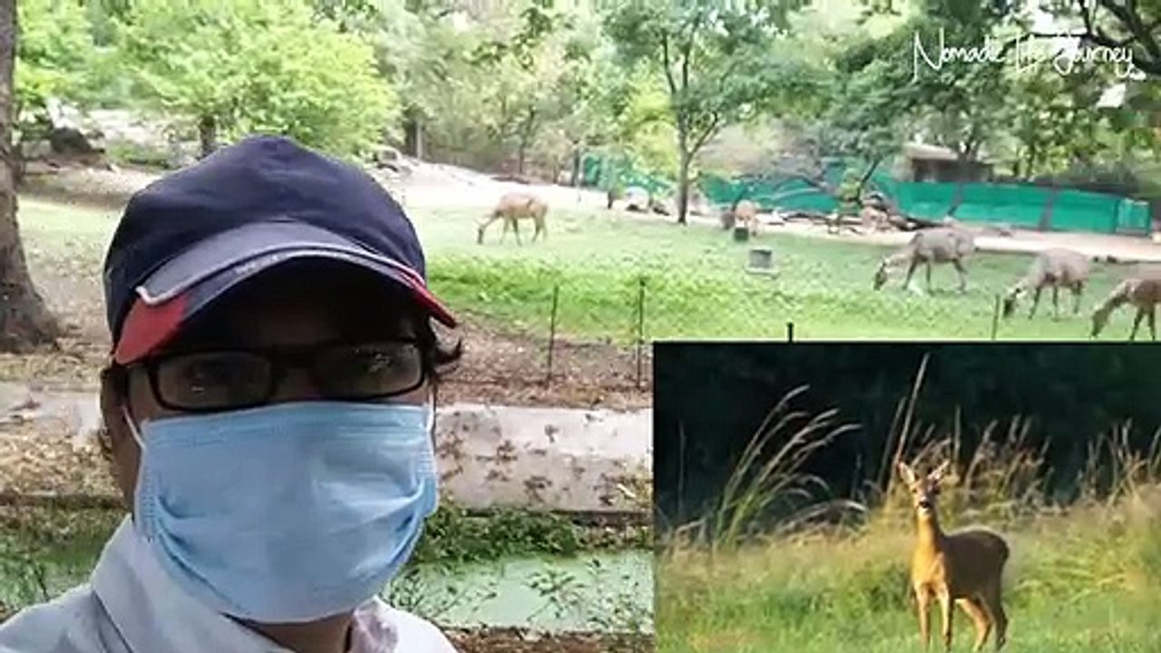 NEHRU ZOOLOGICAL PARK HYDERABAD COMPLETE TOUR IN HINDI  | ZOO PARK HYDERABAD | NOMADIC LIFE JOURNEY