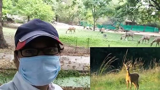 NEHRU ZOOLOGICAL PARK HYDERABAD COMPLETE TOUR IN HINDI | ZOO PARK HYDERABAD | NOMADIC LIFE JOURNEY