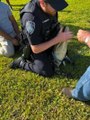 ABD'de polis timsahı elleriyle nehre götürdü