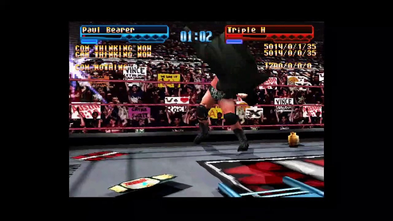 Wwf fight