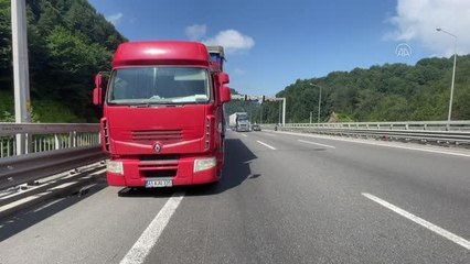 Seyir halindeyken arı sokması sonucu rahatsızlanan sürücü hastaneye kaldırıldı