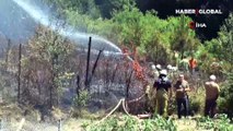 İstanbul Beykoz'da orman yangını