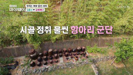많은 세월을 함께한 뜨거운 우정! 홍신❤세레나 TV CHOSUN 20220703 방송