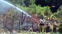 Beykoz'da korkutan orman yangını: Alevler evlerin bahçesine sıçradı