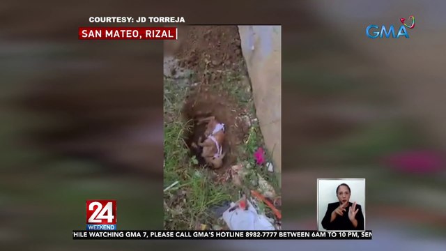 Asong mahina na at may mga galis, naaktuhang inilagay sa hukay | 24 Oras Weekend